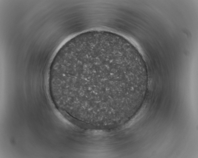 X0000113550903200910161431