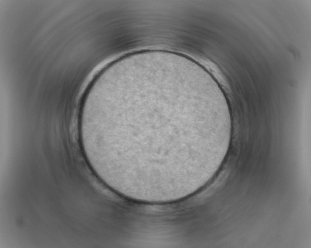 X0000113550904200910161431