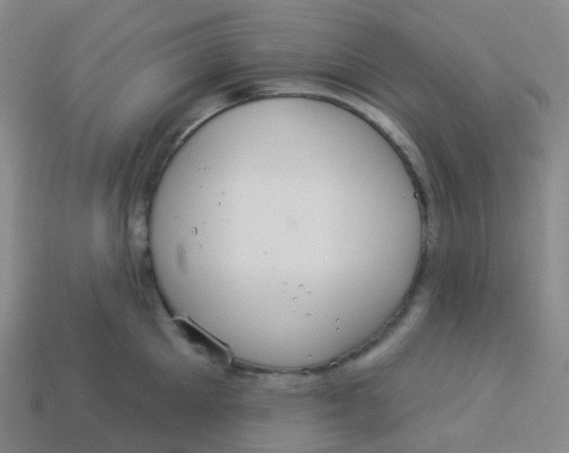 X0000113550905200910161431