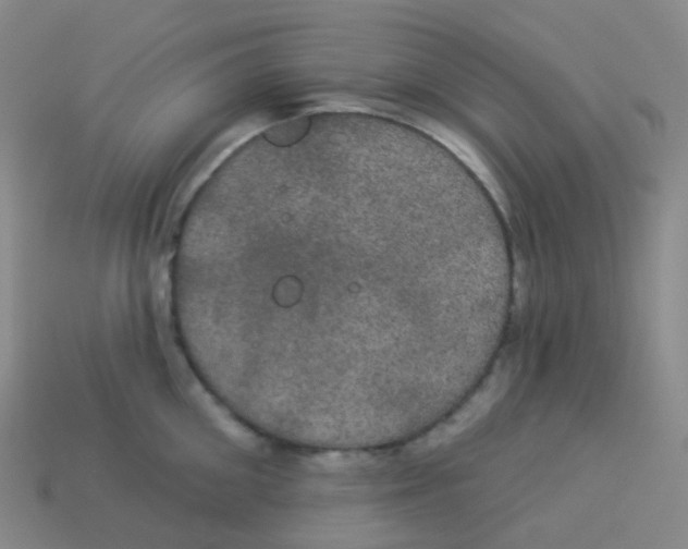 X0000113550906200910161431