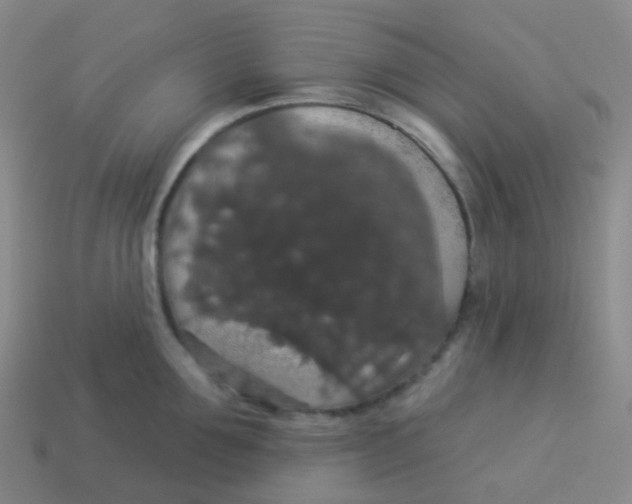 X0000113550907200910161431
