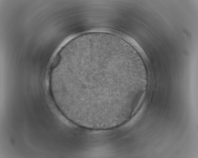 X0000113550908200910161431