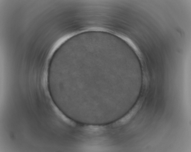 X0000113550910200910161431