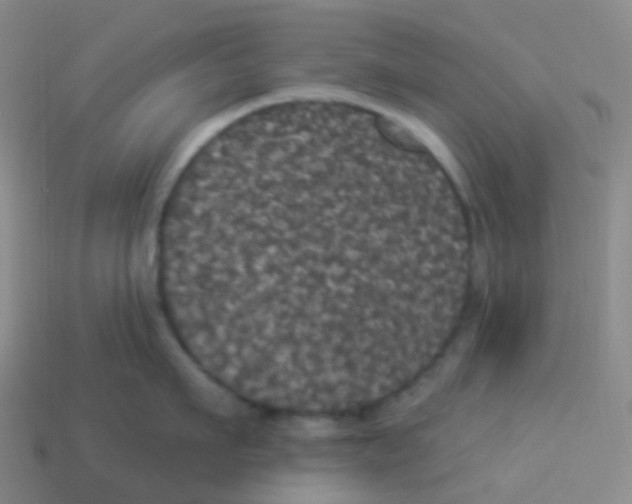 X0000113550911200910161431