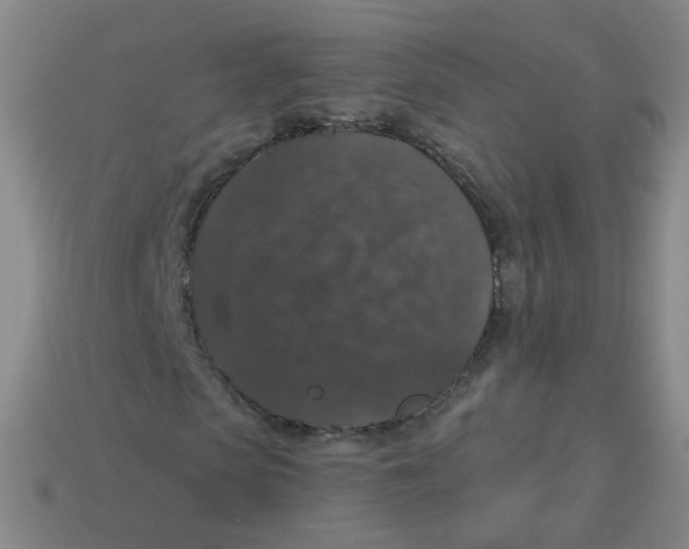 X0000113550913200910161430