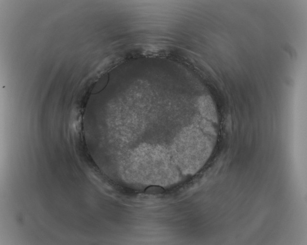 X0000113550914200910161430