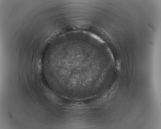 X0000113550915200910161430