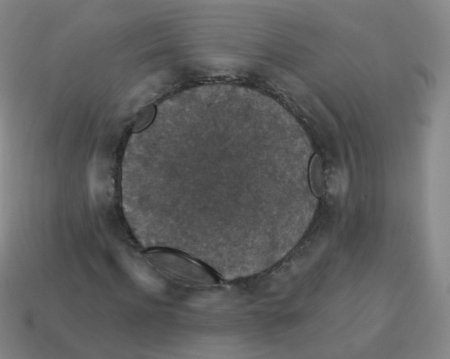 X0000113550916200910161430