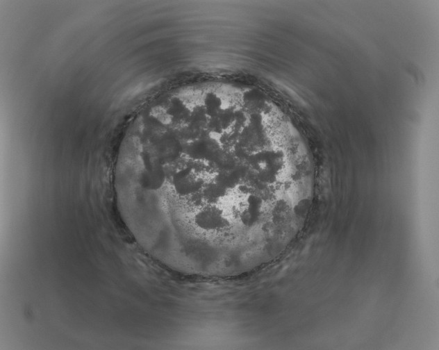 X0000113550917200910161430