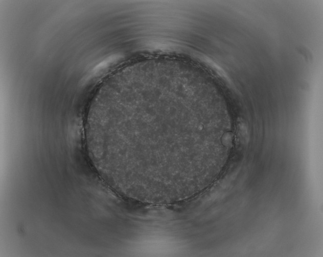 X0000113550918200910161430