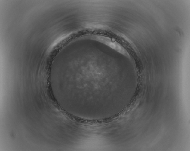 X0000113550919200910161430