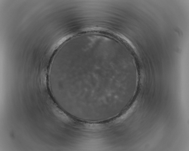X0000113550921200910161430
