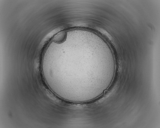 X0000113550922200910161430