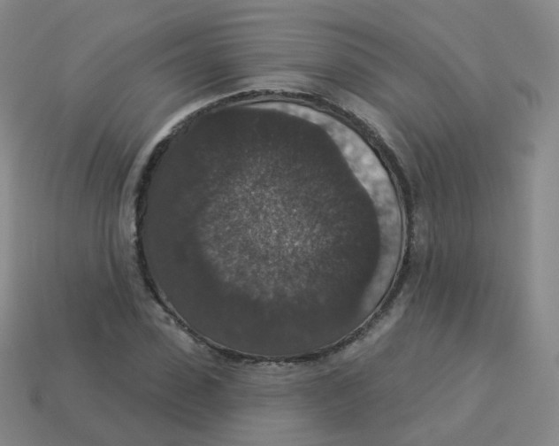 X0000113550923200910161430