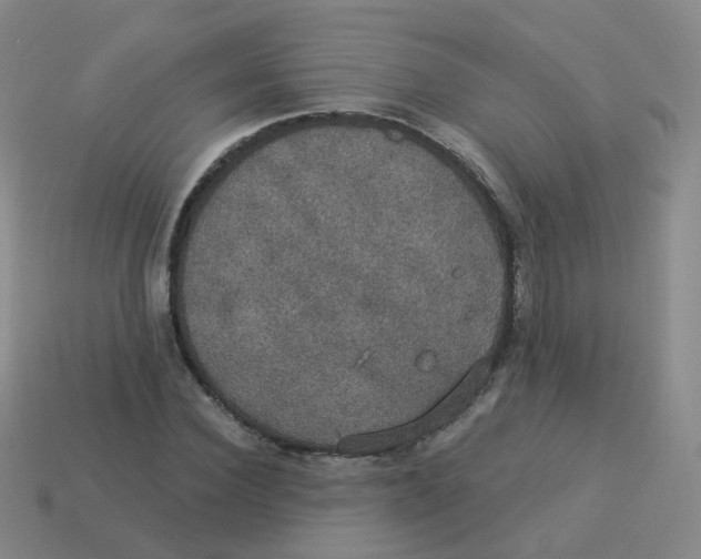 X0000113550924200910161430