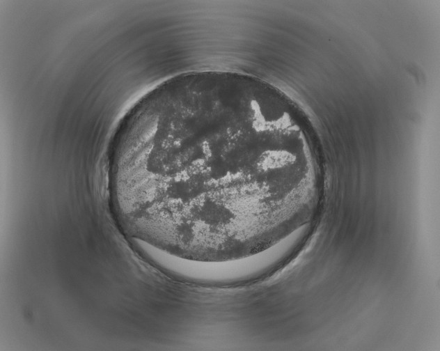 X0000113550925200910161430