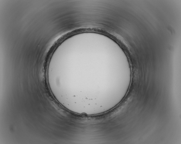 X0000113550927200910161430