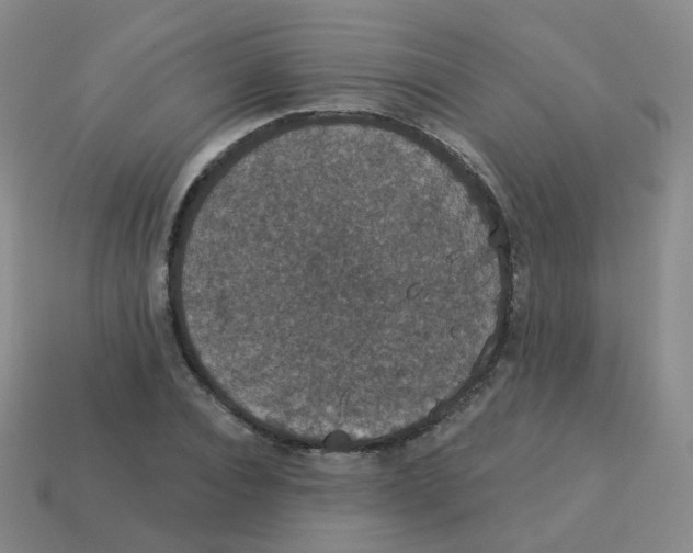 X0000113550928200910161430