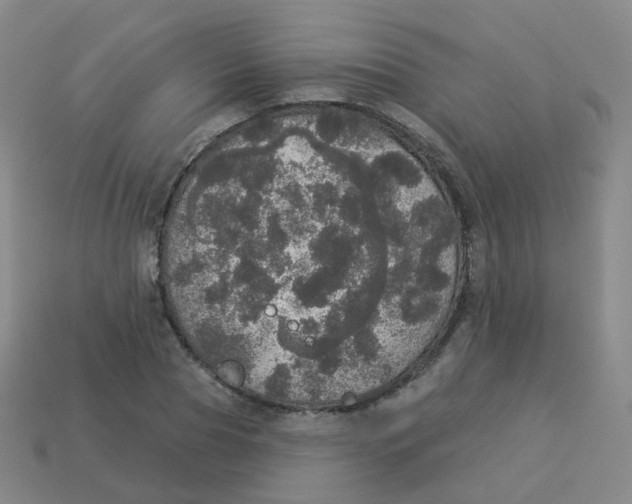 X0000113550929200910161430