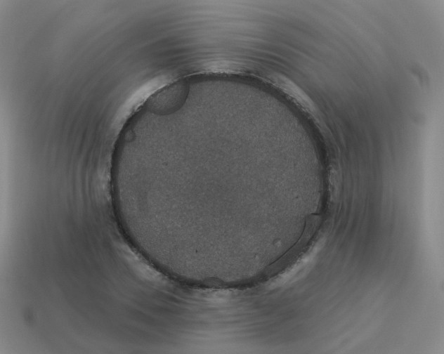 X0000113550930200910161430