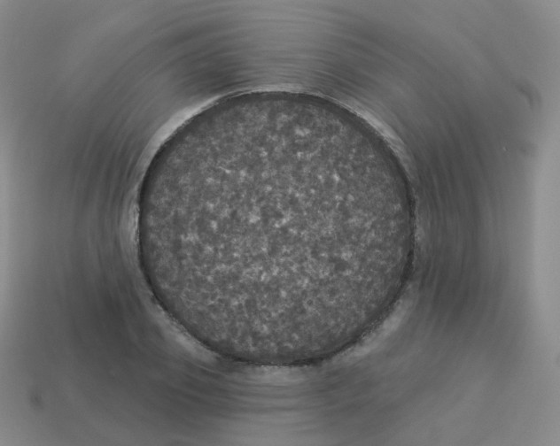 X0000113550933200910161431