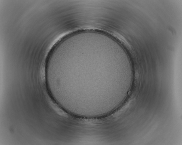X0000113550934200910161431