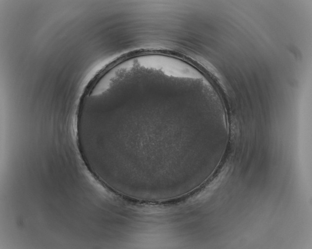 X0000113550935200910161431