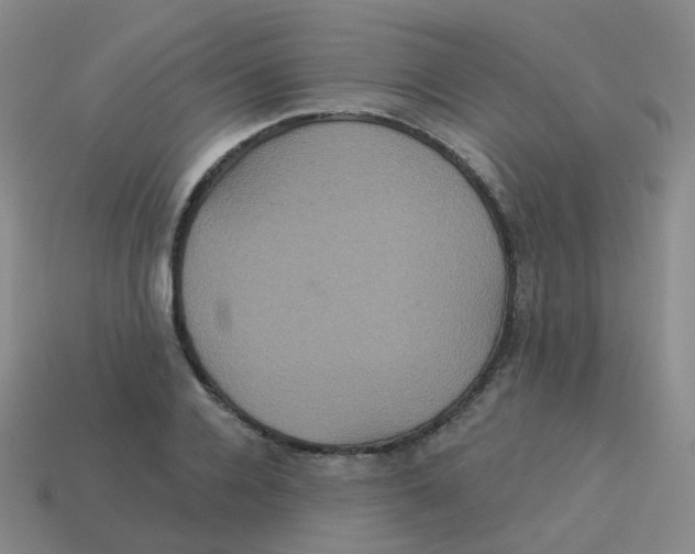 X0000113550936200910161431