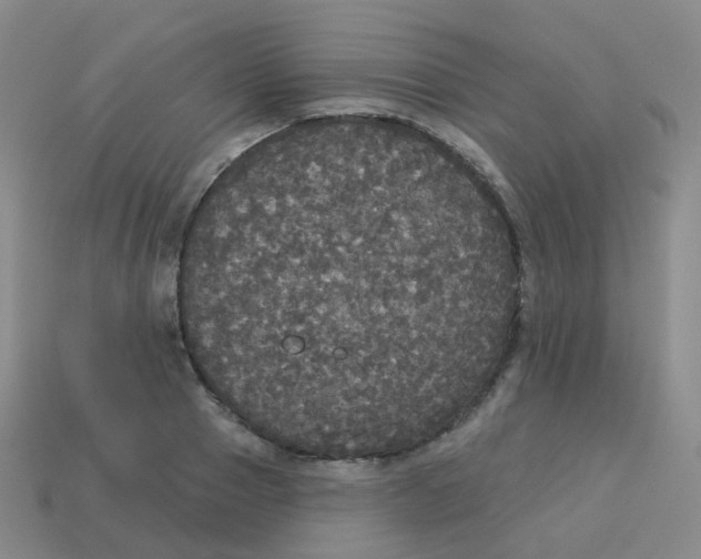 X0000113550937200910161431