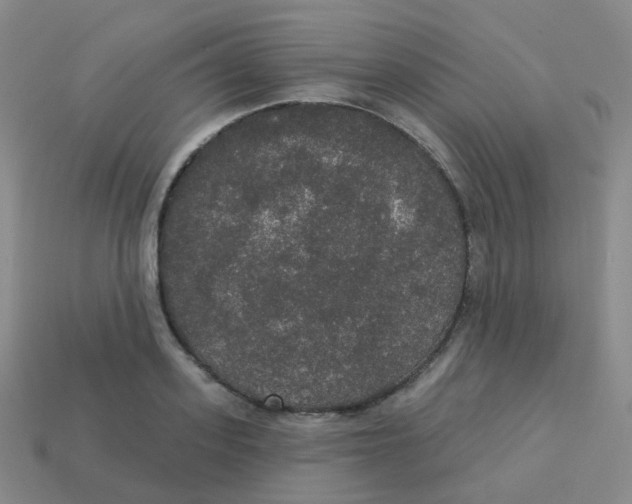 X0000113550939200910161431