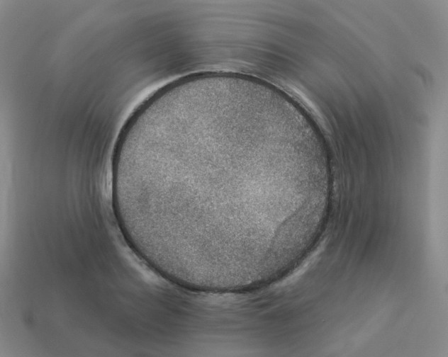 X0000113550940200910161431
