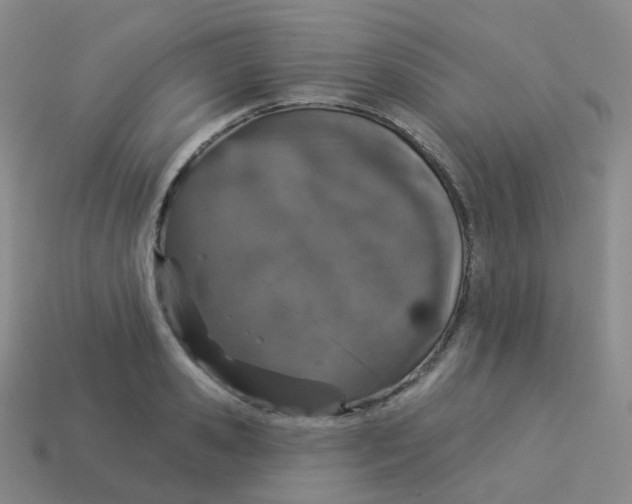 X0000113550941200910161431