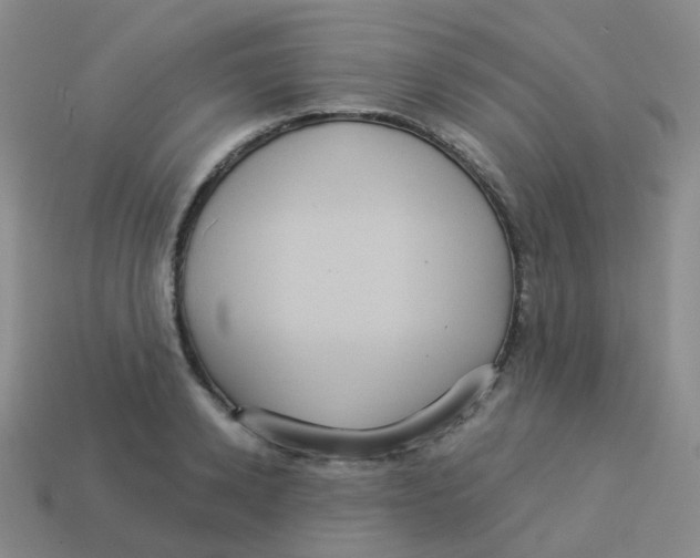 X0000113550942200910161431
