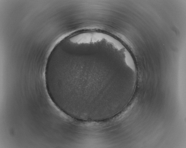 X0000113550943200910161431