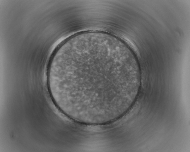 X0000113550944200910161431