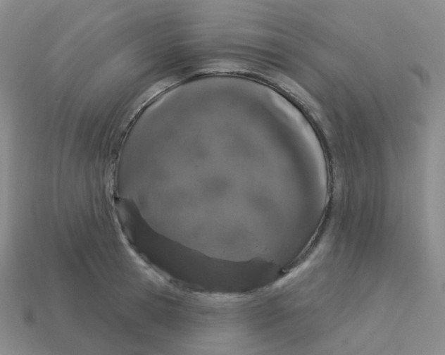 X0000113550945200910161431
