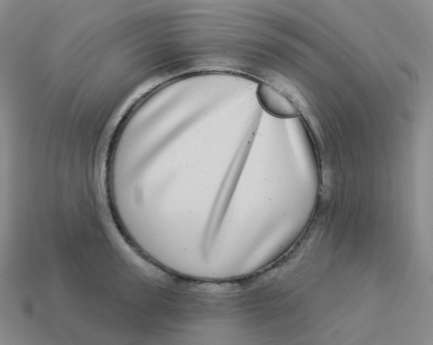 X0000113550947200910161431