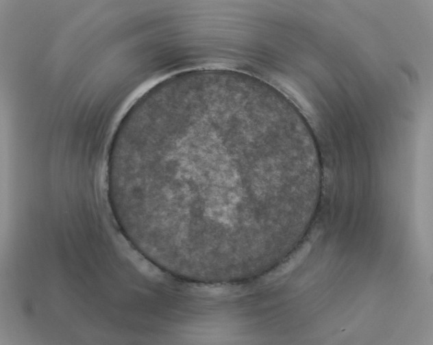 X0000113550948200910161431