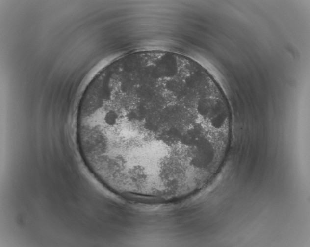X0000113550949200910161431