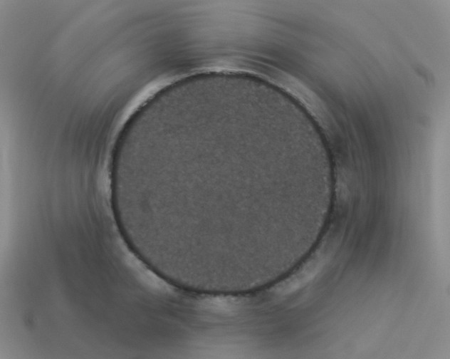 X0000113550950200910161431