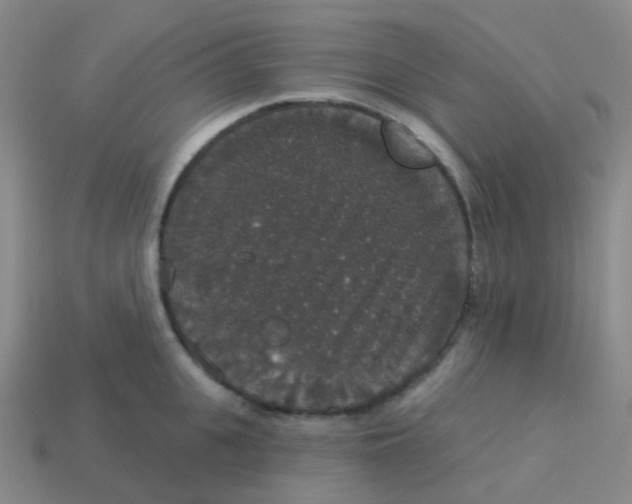X0000113550951200910161431