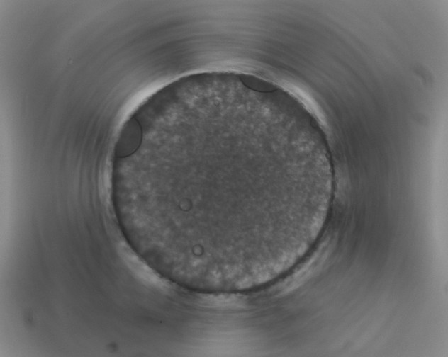 X0000113550952200910161431
