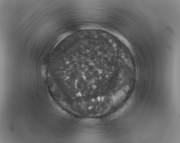 X0000113550953200910161431