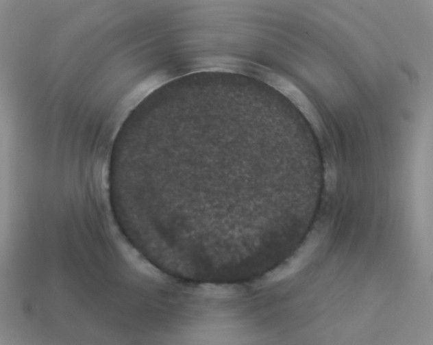X0000113550954200910161431