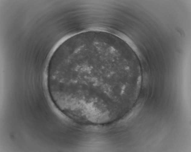 X0000113550955200910161431