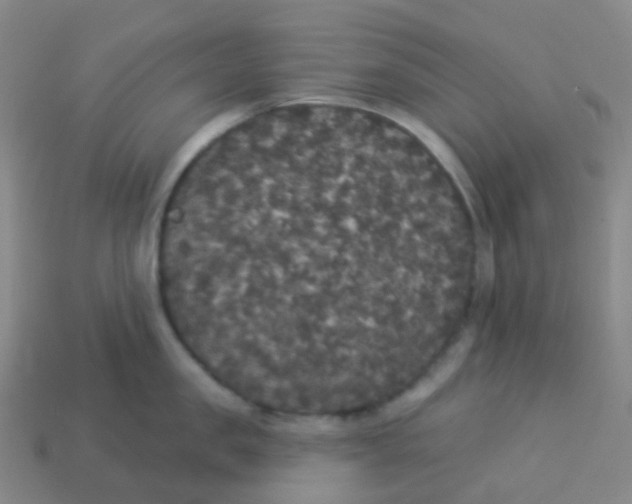 X0000113550957200910161431