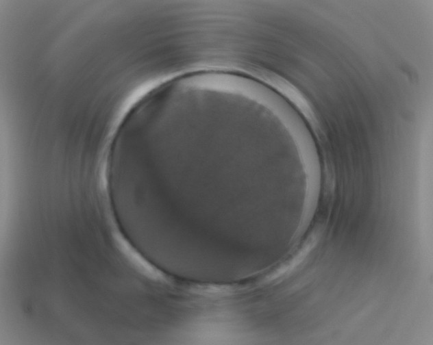 X0000113550958200910161431