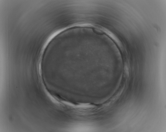 X0000113550959200910161431