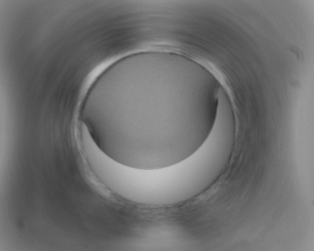 X0000113550960200910161431