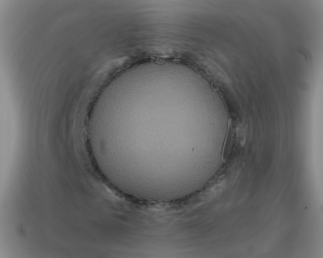 X0000113550961200910161430